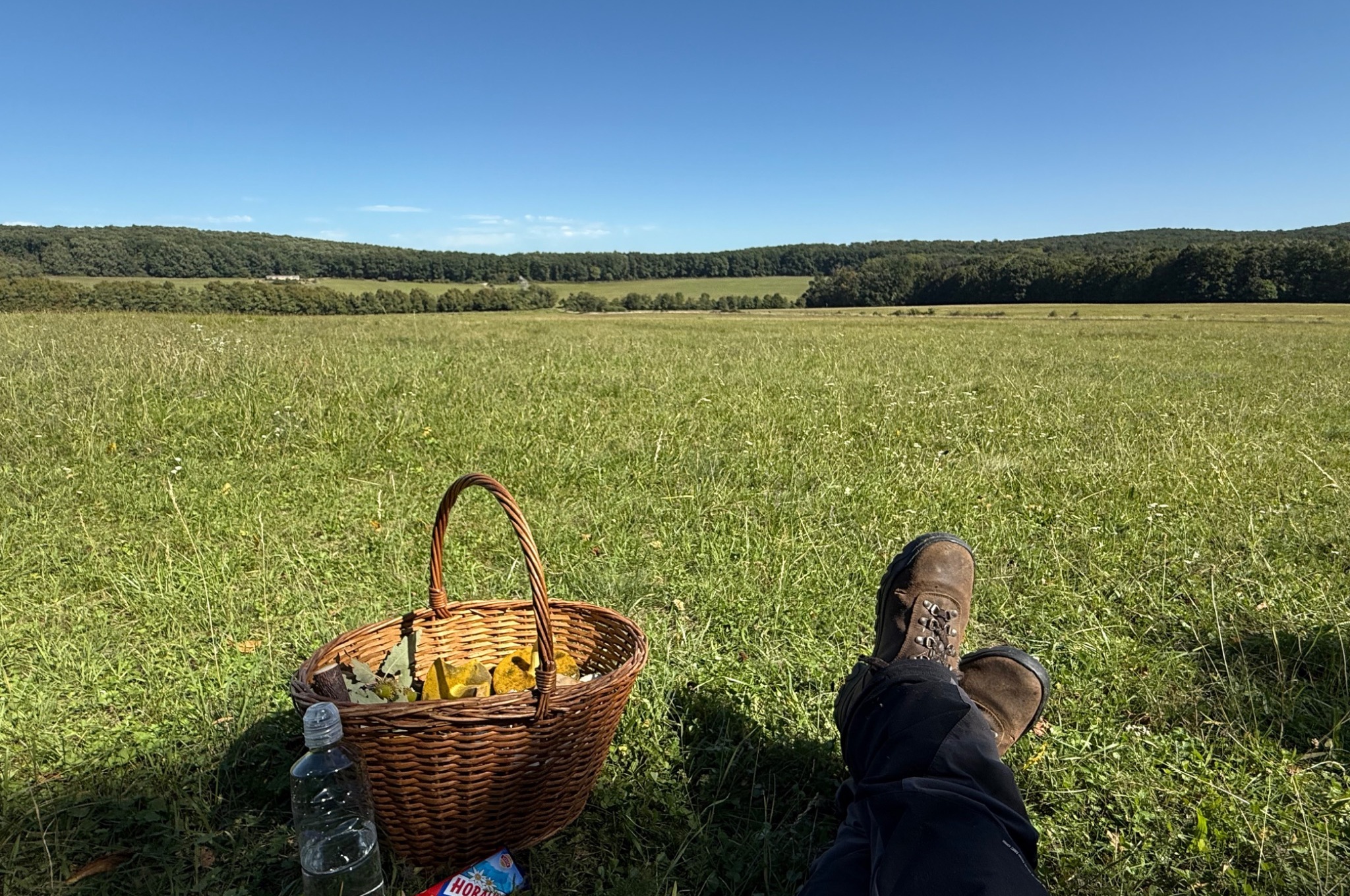 Hobby – kôš s hríbami na lúke